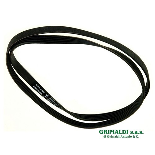 Cinghia 1239 5pje - 1239, per